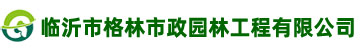 黑松，油松，侧柏-山东绿化苗木基地-临沂市格林市政园林